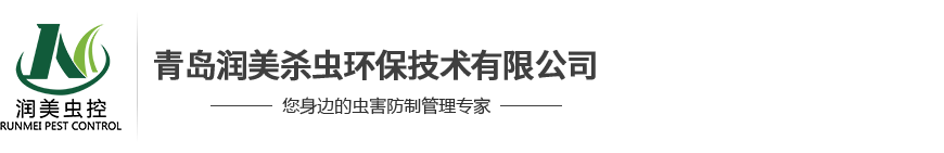 青島殺蟲（chóng）公司|青島消殺公司|青島滅蟑螂公司|青島病媒生物防製|青島滅鼠公（gōng）司|青島（dǎo）滅蟑螂公司|青（qīng）島消蟲（chóng）公司|青島17c一起起草官网殺（shā）蟲環保技術有限公司