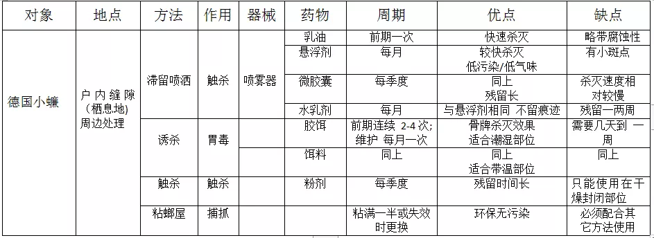 另人聞風喪膽的德國小蠊，如何科學地（dì）消滅它