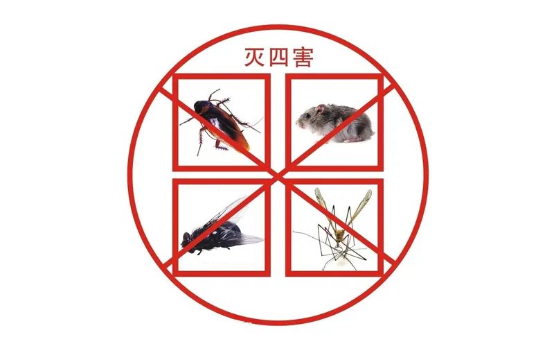 小區滅四害，有（yǒu）哪些潛在（zài）因素？