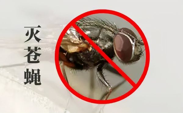 小區滅四害，有哪些潛在因素（sù）？